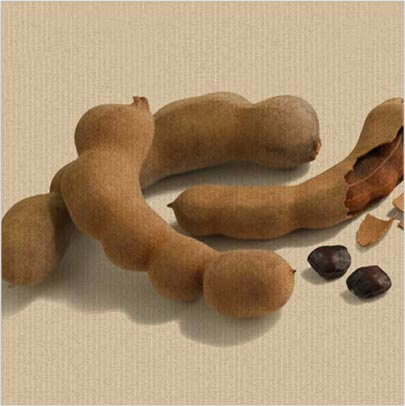 Živio Tamarind!